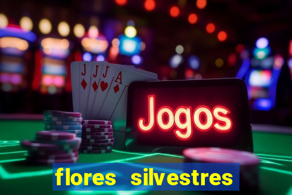 flores silvestres desbravadores desbravadores 25